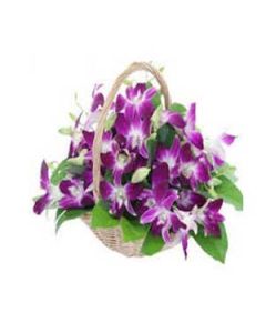 Violeta orquídea en la papelera de reciclaje de 20 piezas